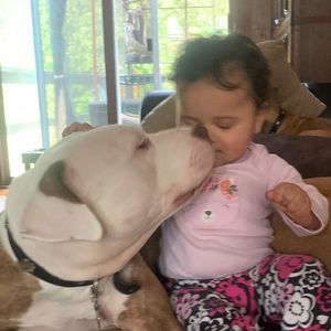 Meet your Posher, Kenneth